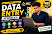 provide fast and accurate data entry services