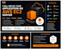 deploy your application on an AWS ec2 server