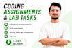 do coding assignment, projects lab tasks in c, cpp, java, python, r, rust, go