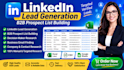 do linkedin lead research,web research, data entry in excel