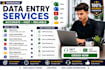 provide fast and accurate data entry services