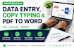 do accurate typing data entry and documents formatting