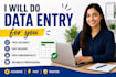 ill do data entry and data searching