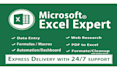 expertly do your excel tasks like data entry, cleaning, formula, lookup, match