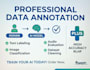 data annotation ai training