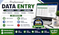 do expert data entry, excel data entry and pdf conversion