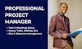 manage your technical or business project as a professional project manager