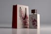 create packaging box dieline, die cut and cut lines template