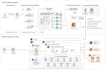 architect your AWS cloud infrastructure and cicd pipelines