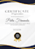 design professional canva templates