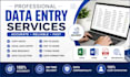 do accurate data entry copy paste excel and web research