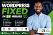 fix wordpress bugs, elementor issues, plugin conflicts and errors