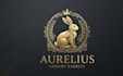 design a luxury rabbit logo for your brand