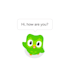 lottie and web animation