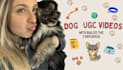 create engaging pet ugc video with my dog