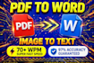 do 70 wpm fast copy paste pdf to word typing work