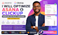 optimize asana and clickup workflows for project management and automation