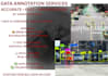 do manual accurate data annotation image and text labelling
