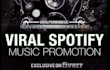 do professional netherlands spotify music promotion