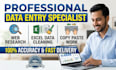 do accurate data entry, web research, copy paste, and excel data