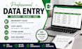 do accurate data entry, excel, copy paste and typing work