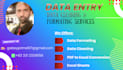 do data entry data cleaning and data formatting