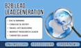 do b2b lead generation, web research, data entry