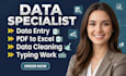 do data entry, data cleaning and pdf to excel