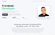 create a professional responsive developer portfolio website