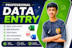 do accurate data entry, data cleaning, web research and copy paste