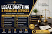 be your lawyer and paralegal