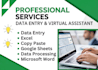 do professional data entry excel and copy paste tasks