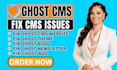 fix ghost cms website, ghost theme, ghost blog, ghost newsletter, ghost bug