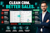 clean organise and optimize your crm database
