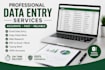 do accurate data entry, excel data entry, copy paste and web research
