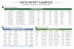 do accurate data entry, typing and microsoft excel tasks
