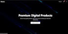 do professtional wesite development