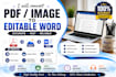 convert PDF to editable word with 100 percent accuracy