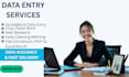 provide professional data entry and excel service