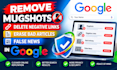 remove mugshots, delete negative links, erase bad articles, false news in google