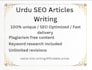 write SEO article , blog posts, urdu content and product descriptions