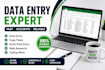 do data entry, copy paste, excel data entry and web research