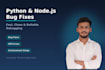 fix python or node js bugs errors and environment issues