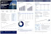 prepare a professional equity research report on any listed company