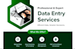 do perfect data entry and excel copy paste work