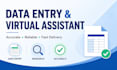 do data entry online research and virtual assistant task