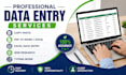 do accurate data entry, copy paste, PDF conversion and web research