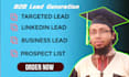 do b2b lead generation, web scraping,webresearch, email list building