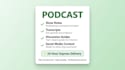write SEO optimized podcast show notes with timestamps