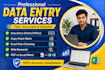 do professional date entry
